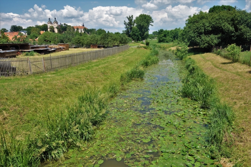 Rožďalovice